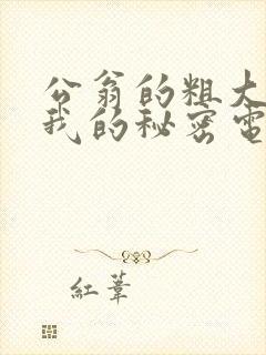 公翁的粗大放进我的秘密电影