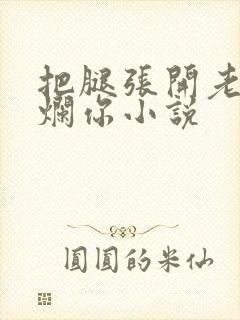 把腿张开老子臊烂你小说封面