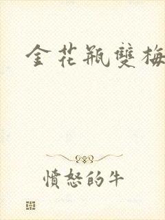 金花瓶双梅花3封面