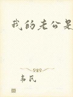 我的老公是冥王