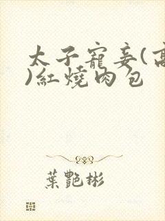 太子宠妾(高肉)红烧肉包