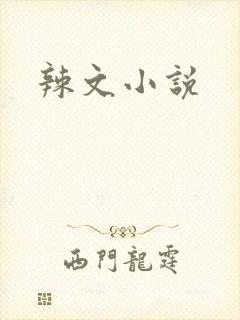 辣文小说
