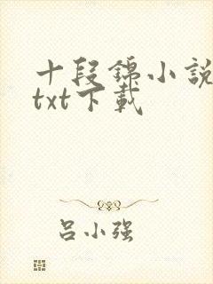 十段锦小说全本txt下载