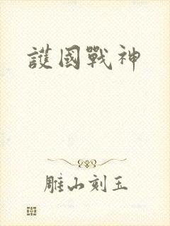 护国战神封面