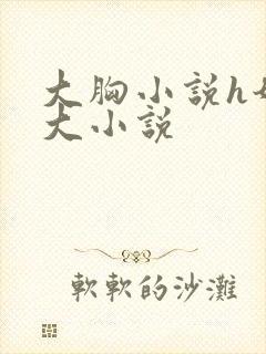 大胸小说h奶子大小说