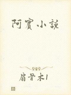 阿宾小说