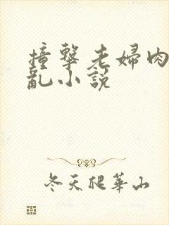 撞击老妇肉体之乱小说封面