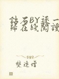 钻石BY逐一而归在线阅读