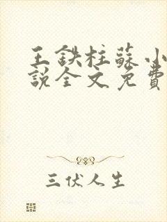 王铁柱苏小汐小说全文免费阅读最新章节封面