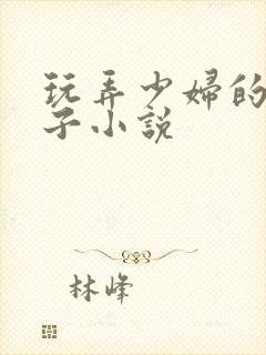 玩弄少妇的大奶子小说封面