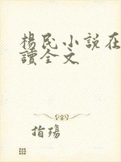 杨民小说在线阅读全文