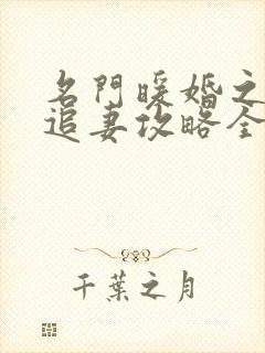 名门暖婚之权爷追妻攻略全文免费阅读