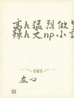 高h猛烈做哭高辣h文np小说封面