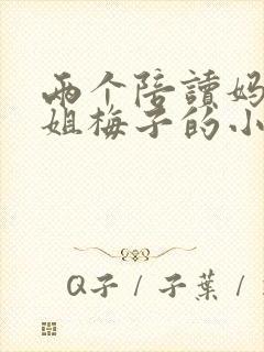 两个陪读妈妈赵姐梅子的小说封面