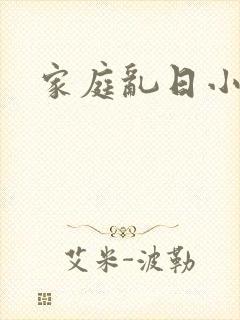 家庭乱日小说封面