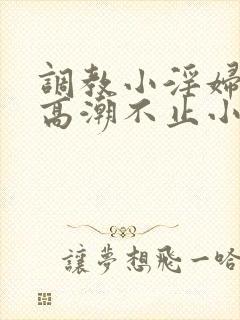 调教小淫妇失禁高潮不止小说封面