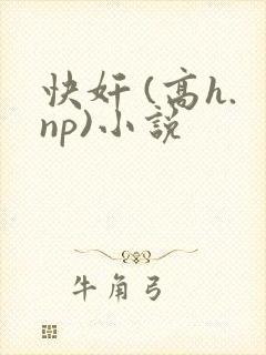 快奸 (高h.np)小说