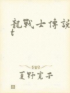龙战士传说txt