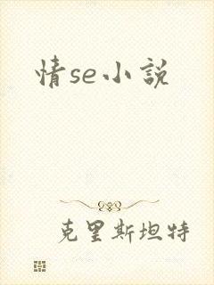 情se小说