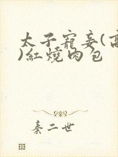 太子宠妾(高肉)红烧肉包