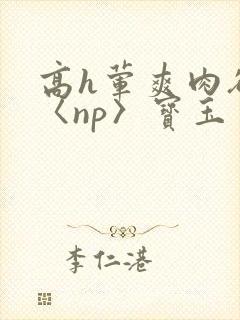 高h荤爽肉欲文〈np〉宝玉