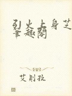 引火上身芝麻糖笔趣阁