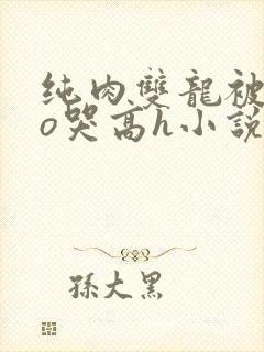 纯肉双龙被cao哭高h小说