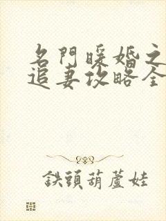 名门暖婚之权爷追妻攻略全文免费阅读