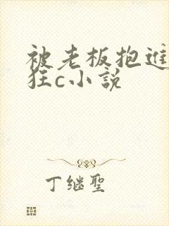 被老板抱进卧室狂c小说