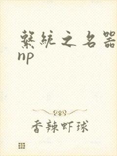 系统之名器攻略np