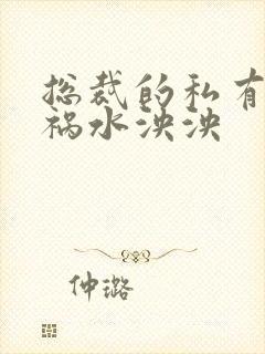 总裁的私有宝贝祸水泱泱