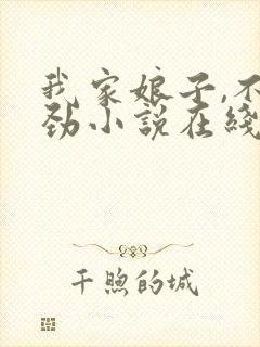 我家娘子,不对劲小说在线免费阅读