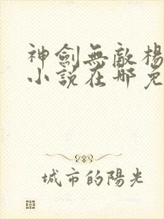 神剑无敌杨小天小说在哪免费下载