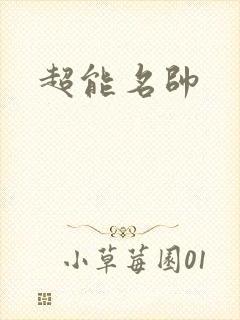 超能名帅