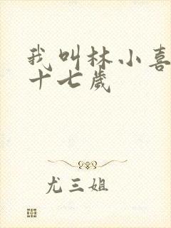 我叫林小喜今年十七岁封面