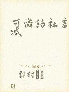 可怜的社畜未删减