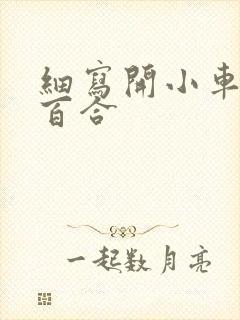 细写开小车车的百合封面