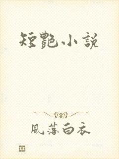 短艳小说封面