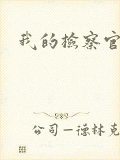 我的检察官先生封面