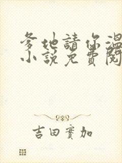 爹地请你温柔点小说免费阅读封面