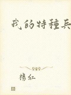 我的特种兵男友