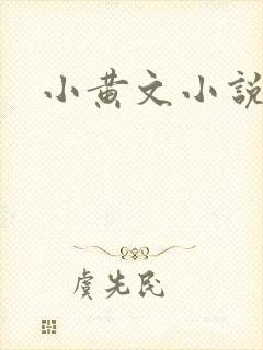 小黄文小说封面