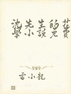 沈先生的花式教学小说免费