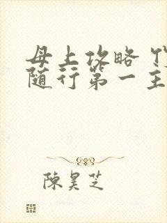 母上攻略 竹影随行第一主板