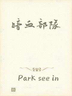 暗血部队封面