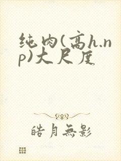 纯肉(高h.np)大尺度
