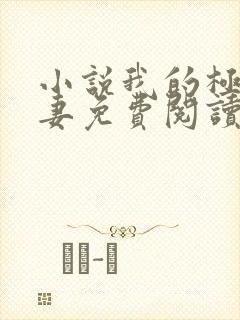 小说我的极品娇妻免费阅读