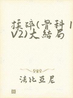 揉碎(骨科 1V2)大结局