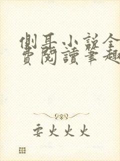 侧耳小说全文免费阅读笔趣阁封面