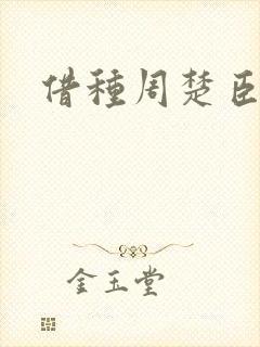 借种周楚臣封面